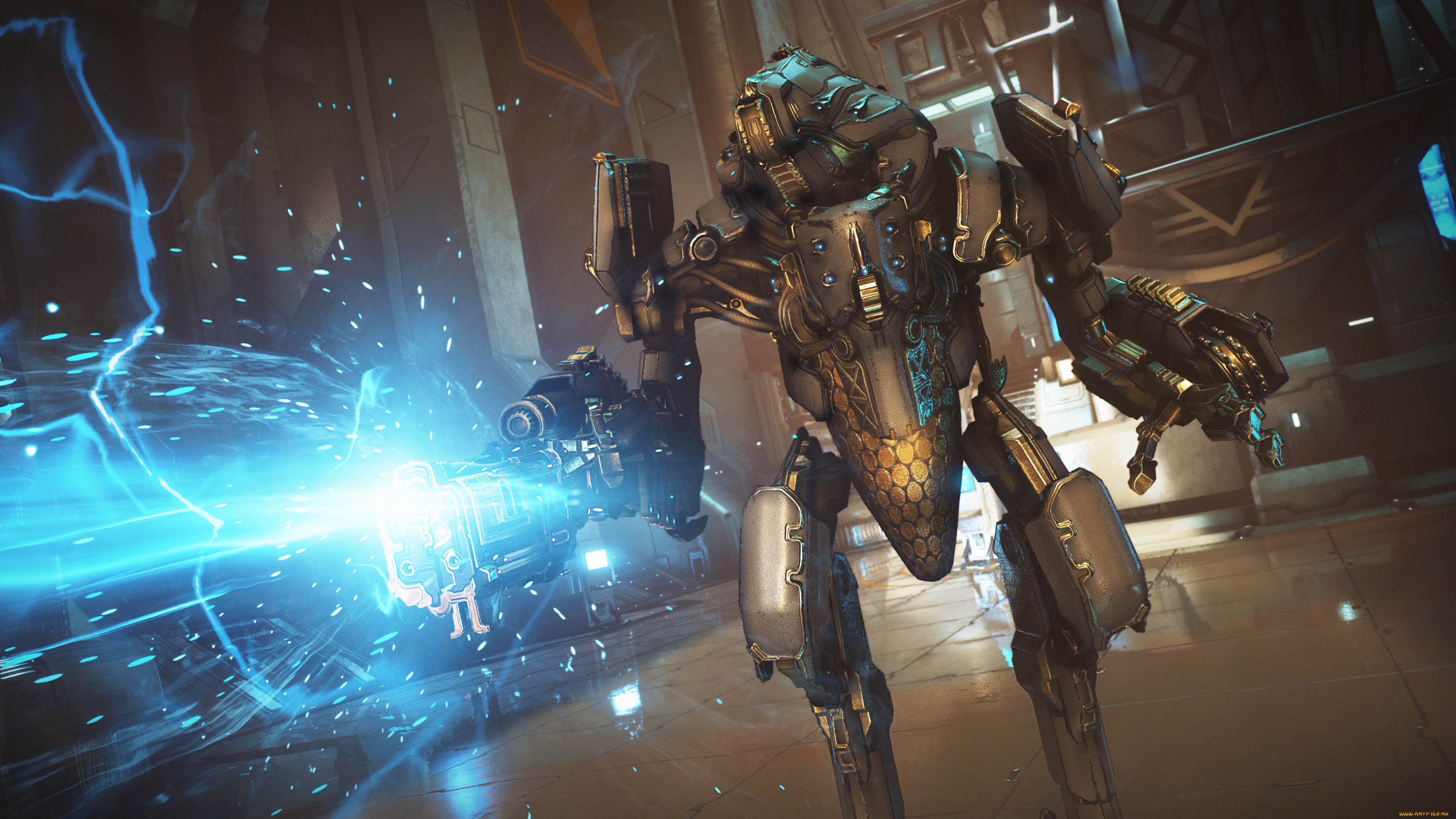  , warframe